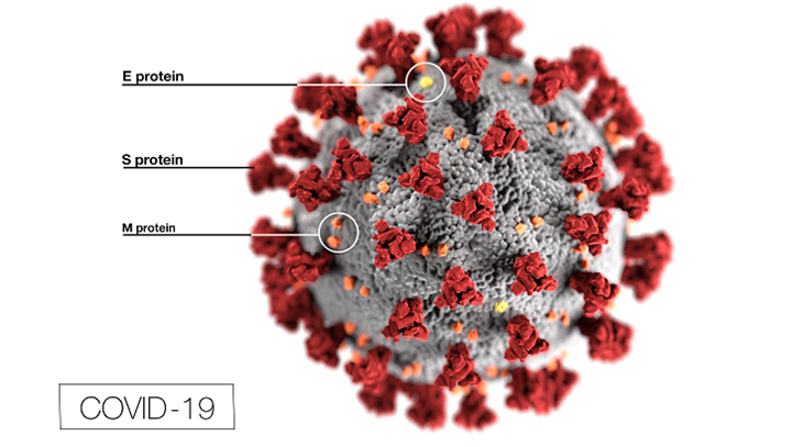 Coronavirus COVID19